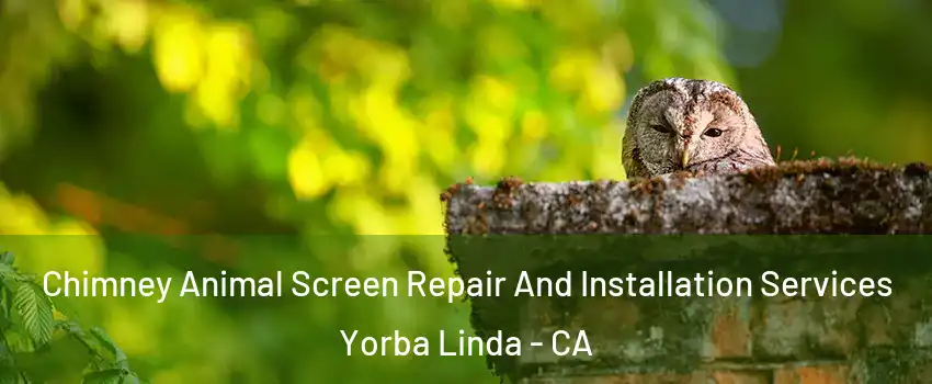  Chimney Animal Screen Repair And Installation Services Yorba Linda - CA