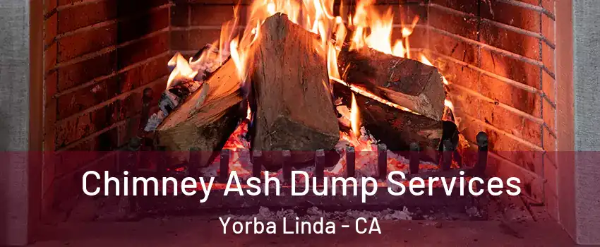  Chimney Ash Dump Services Yorba Linda - CA