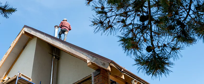 Birds Removal Contractors from Chimney in Yorba Linda, CA