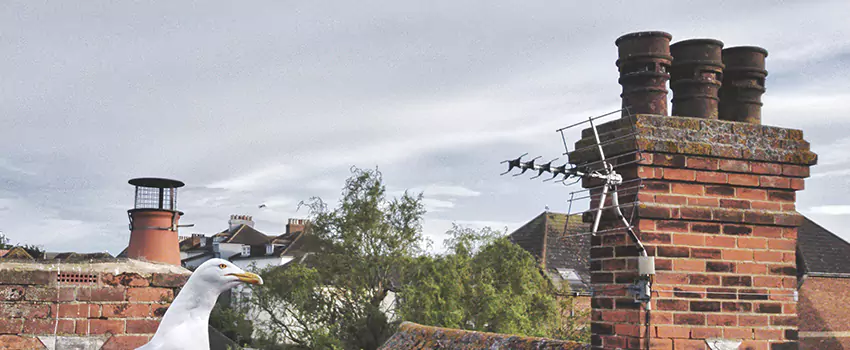 Chimney Cleaning And Restoration in Yorba Linda, California