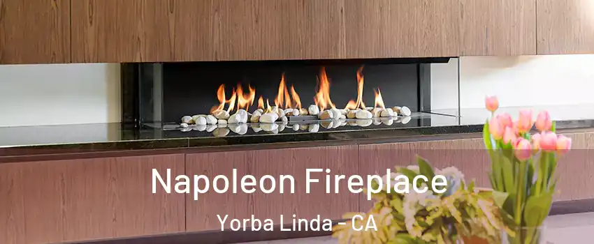  Napoleon Fireplace Yorba Linda - CA